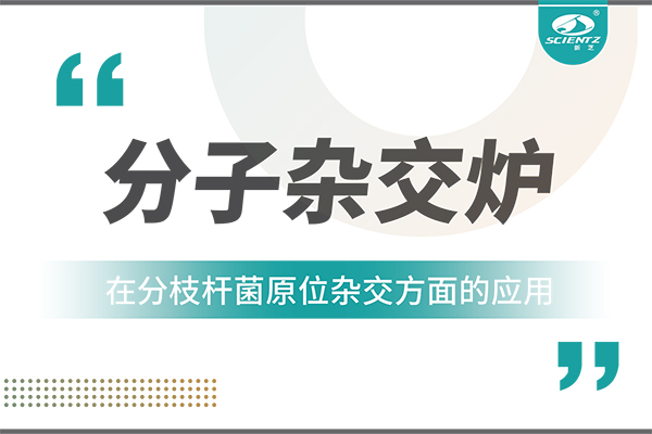 分子雜交爐在分枝桿菌原位雜交方面的應用