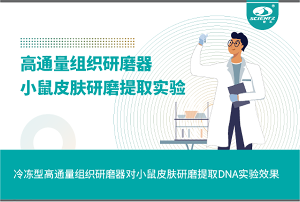 冷凍型高通量組織研磨器對小鼠皮膚研磨提取DNA實(shí)驗(yàn)效果