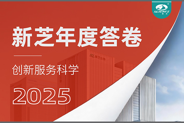 「新芝2025年度答卷」以深耕赴山海，以創新啟新程！